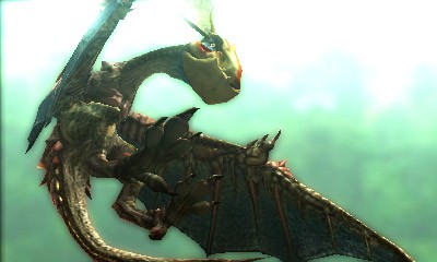 Monster Hunter 4  11.10.2012 (23)