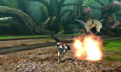 Monster Hunter 4  11.10.2012 (26)