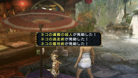Monster Hunter Portable 3rd 004