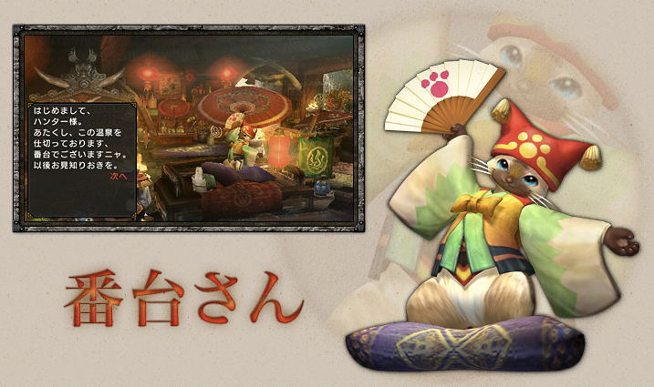 Monster Hunter Portable 3rd 009