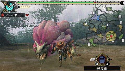 Monster Hunter Portable 3rd 025