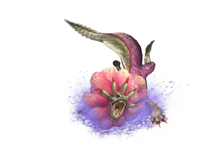 Monster Hunter Portable 3rd 030