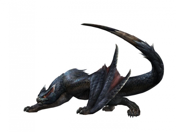 Monster Hunter Tri G - 11