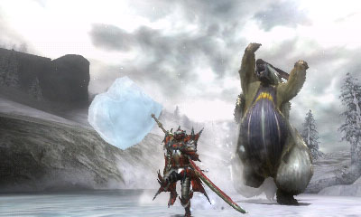 Monster Hunter Tri G - 19