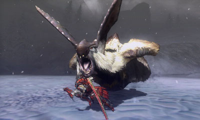 Monster Hunter Tri G - 20
