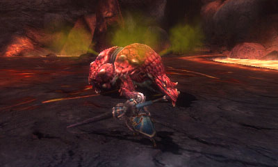 Monster Hunter Tri G - 21