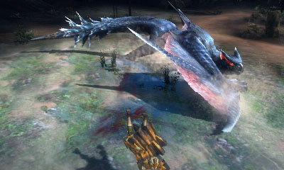 Monster Hunter Tri G - 26