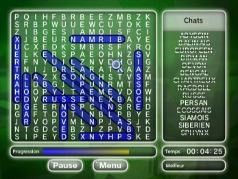mot cach&eacute; wiiware 2