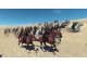 Mount & Blade II Bannerlord PCGamer (7)