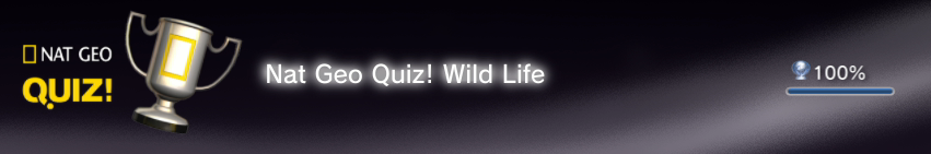 NAT GEO QUIZZ  trophees     1