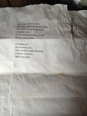 new-alan-wake-poeme (18)