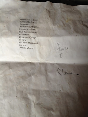 new-alan-wake-poeme (22)