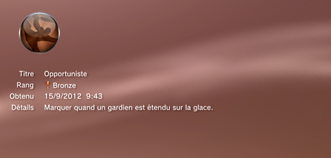 NHL 13 - Trophées BRONZE - 007