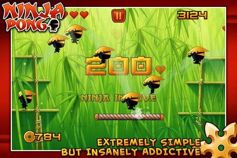 ninja 3