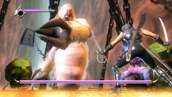 Ninja Gaiden Sigma Plus 002