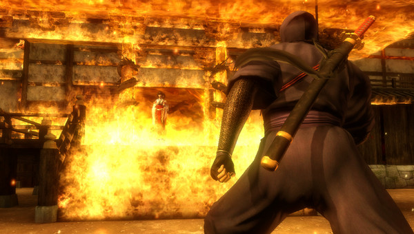 Ninja Gaiden Sigma Plus 004