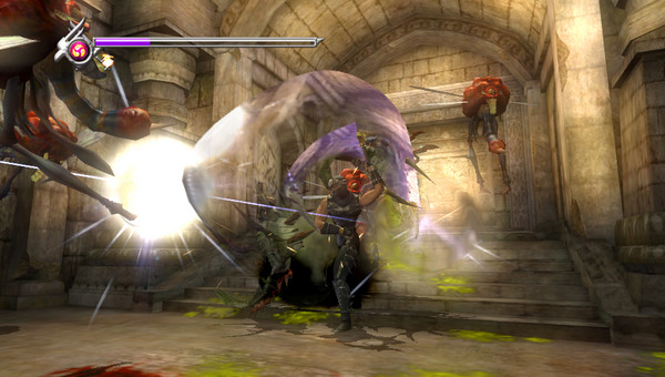 Ninja Gaiden Sigma Plus 011