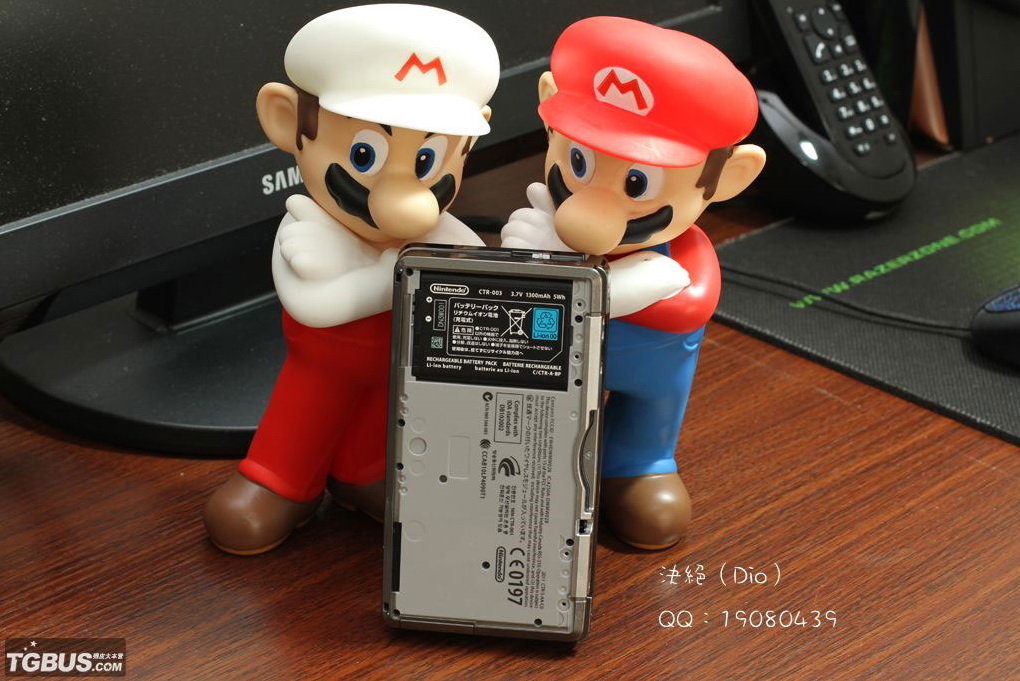 nintendo-3ds-photos-tgbus-04