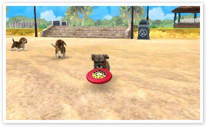 Nintendogs-+-Cats_12