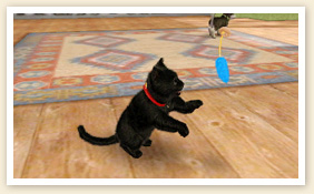 Nintendogs-+-Cats_14