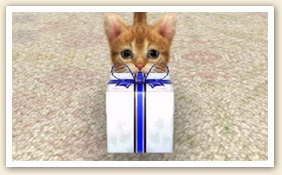 Nintendogs-+-Cats_16