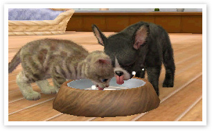 Nintendogs-+-Cats_18