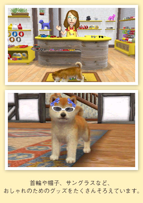 Nintendogs-+-Cats_21
