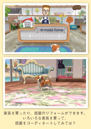Nintendogs-+-Cats_22