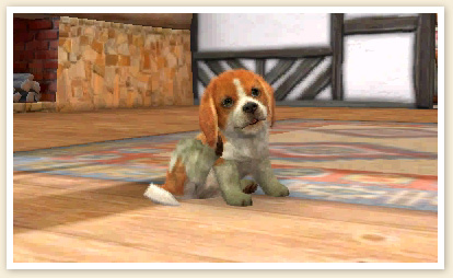 Nintendogs-+-Cats_23
