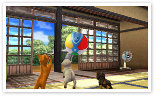 Nintendogs-+-Cats_9