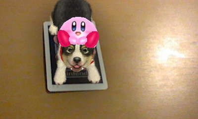 nintendogs_nintendo_ar-cards-screenshot-20110227-01