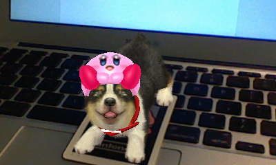 nintendogs_nintendo_ar-cards-screenshot-20110227-03
