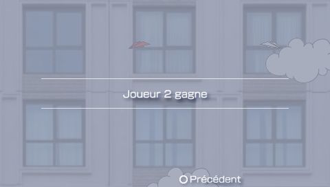 papier-volant-PCT2109