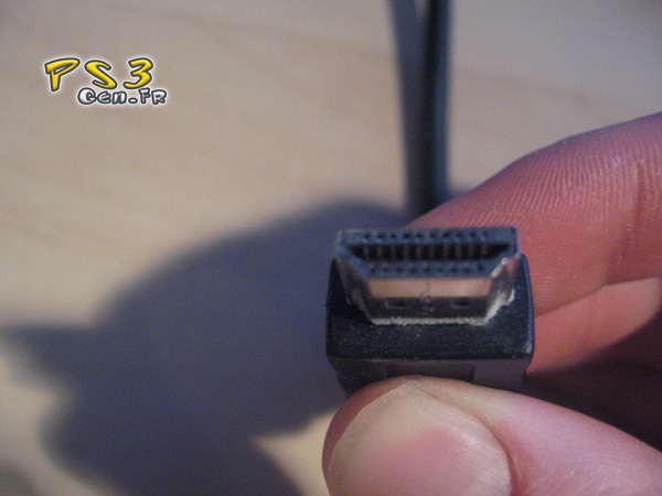 Photo_03