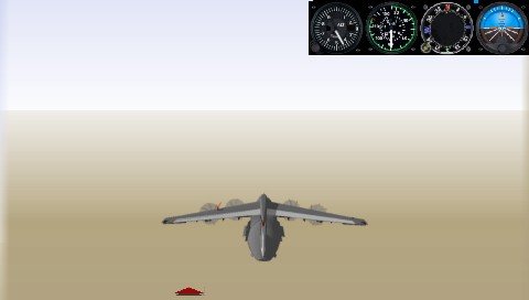 Pilota 005
