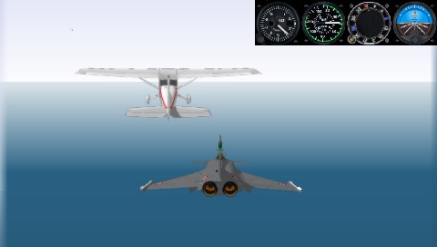 Pilota 008