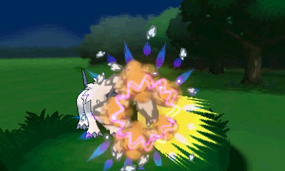 Pokemon X et Y 12.08.2013 (1)