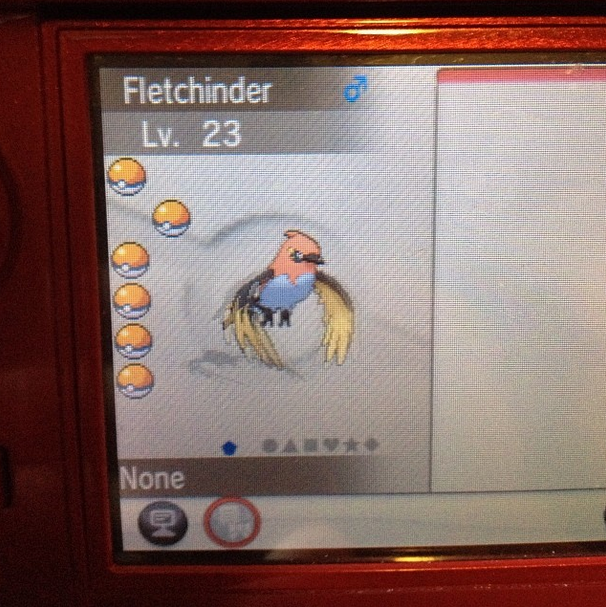Pokémon-X-Y_03-10-2013_pic-12