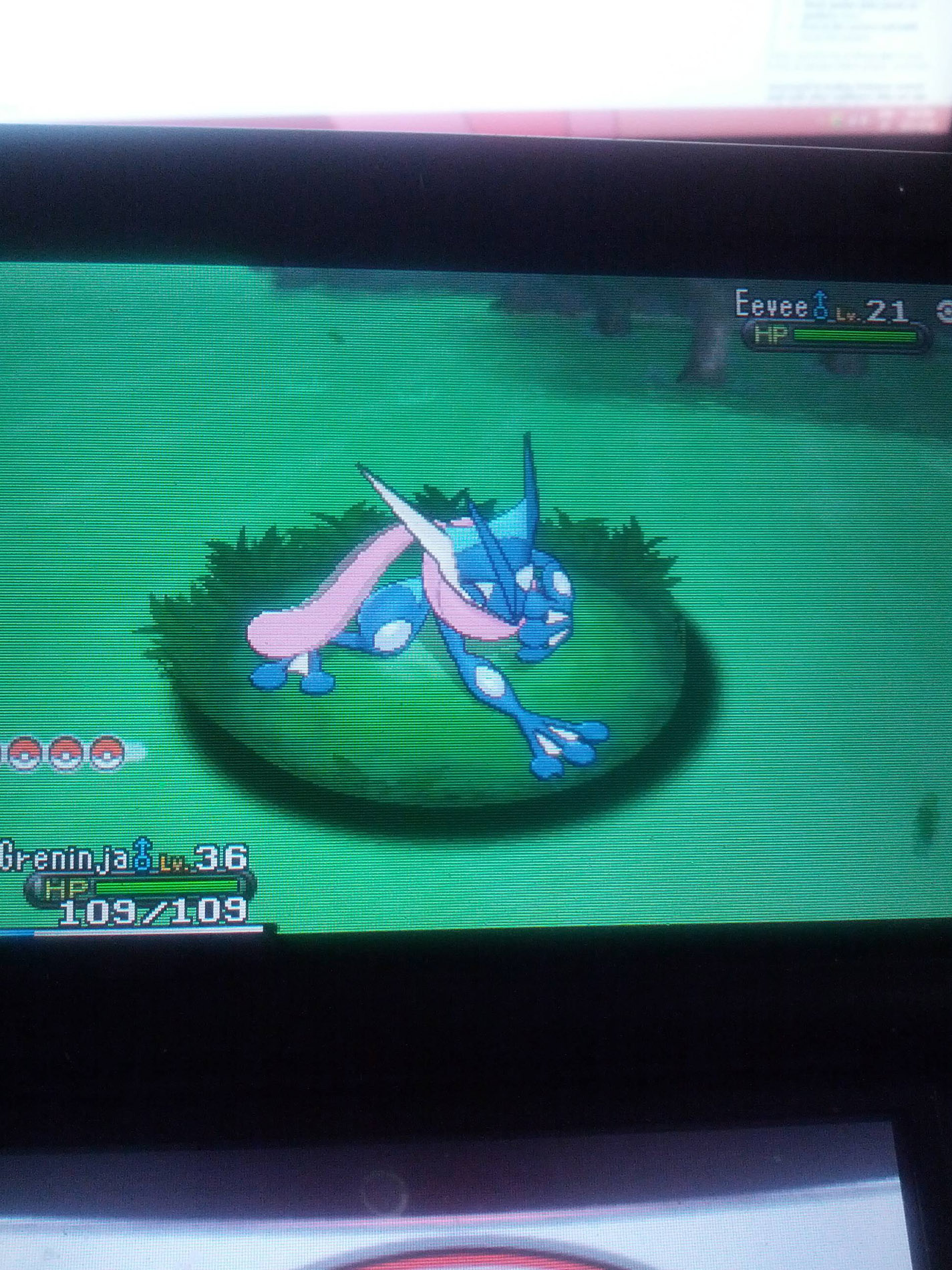 Pokémon-X-Y_03-10-2013_pic-4