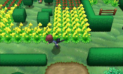 Pokémon-X-Y_17-08-2013_screenshot-3