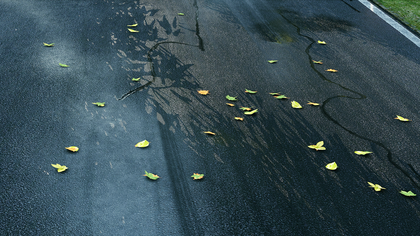 Project-CARS_11-01-2014_screenshot-4