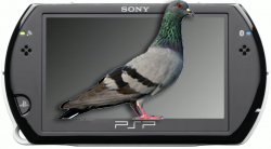 psp-go-piGeOn