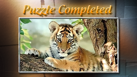 Puzzle-Square-8