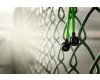 Razer Adaro In-Ears (2)