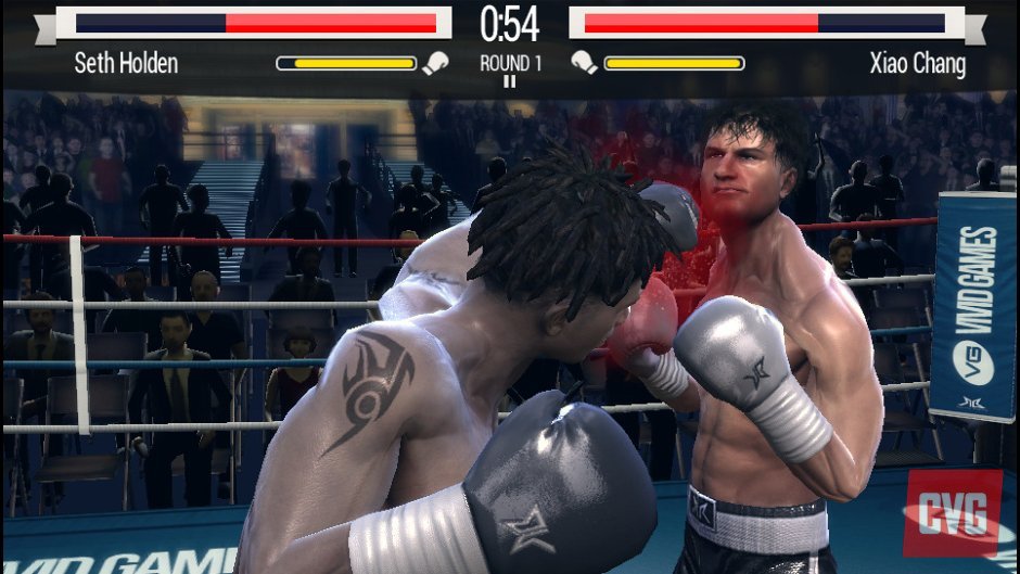 Real Boxing 30.05.2013 (5)
