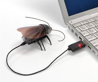roachbot-cafard-telecommand&eacute;-ipad-iphone-ipod-2