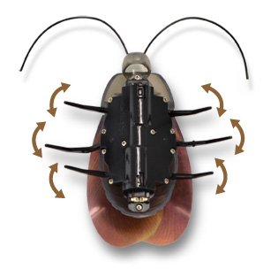 roachbot-cafard-telecommand&eacute;-ipad-iphone-ipod