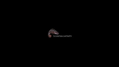 ScheNSchiTiviTy ReViSiTeD - 550 - 1