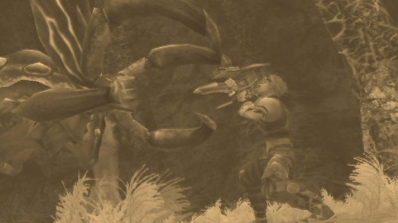 Screenshot-Capture-Image-xenoblade-chronicles-nintendo-wii-11
