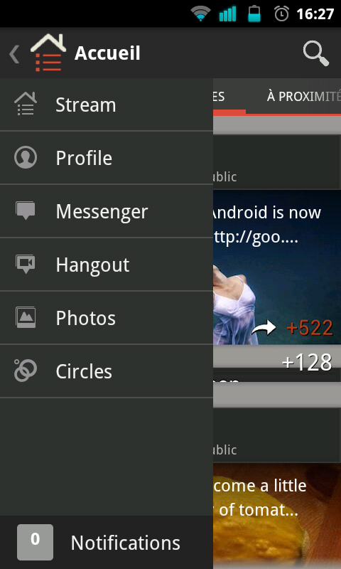 screenshot-google-plus-2
